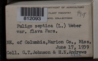 Image Associated With the Occurence